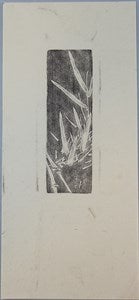 Image description is not available for DU1972.577